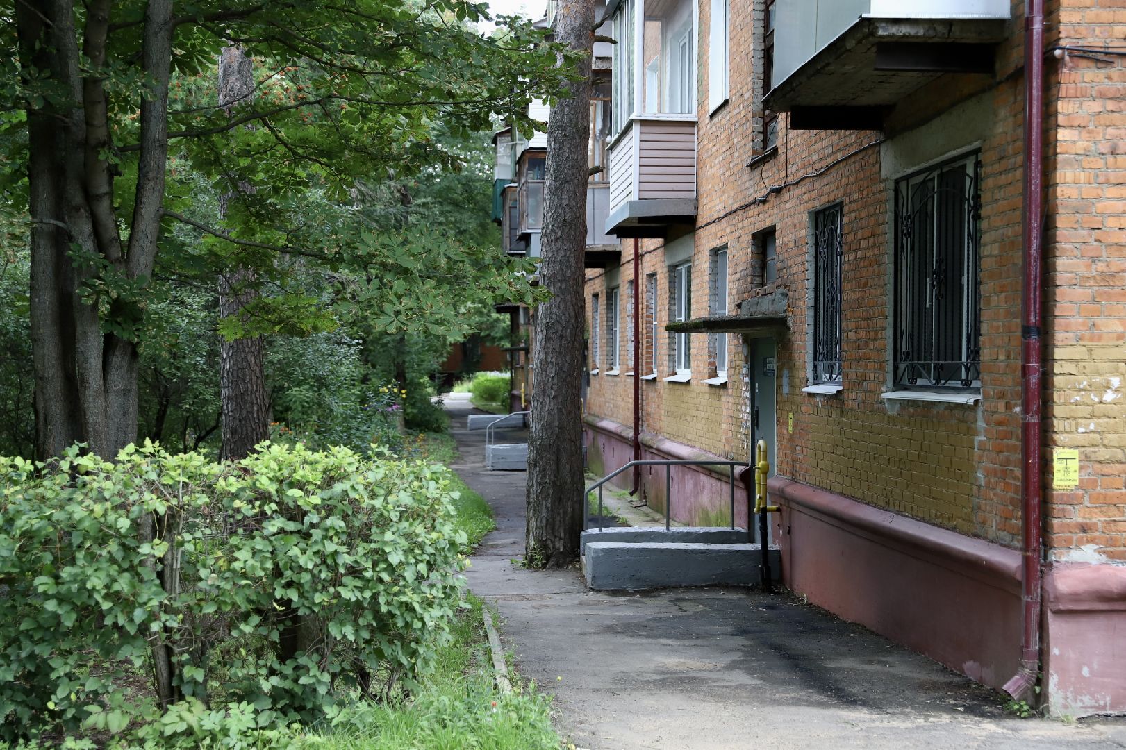 Солнечногорск, жители, встреча, Менделеево, вопросы