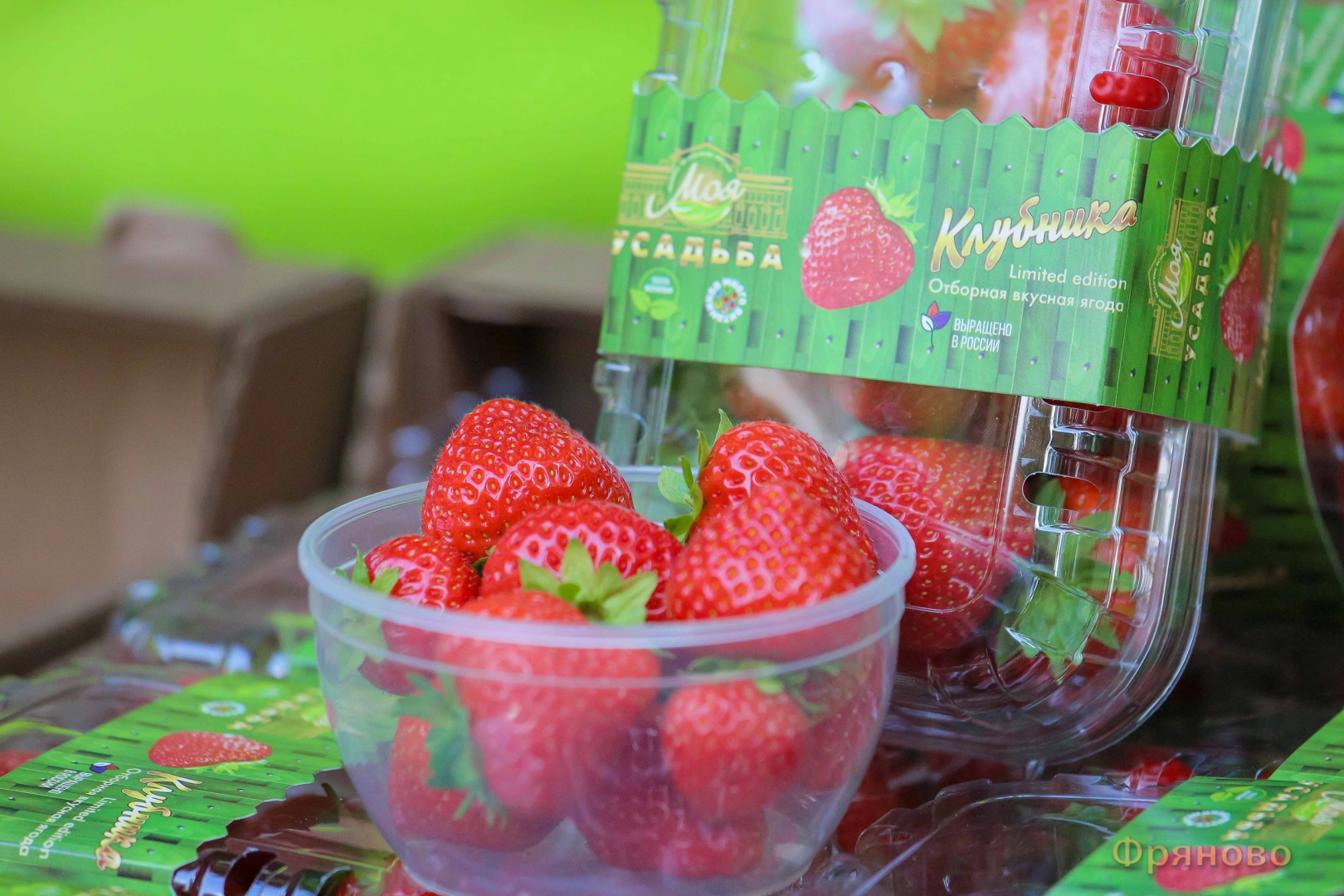 фестиваль, Щёлково