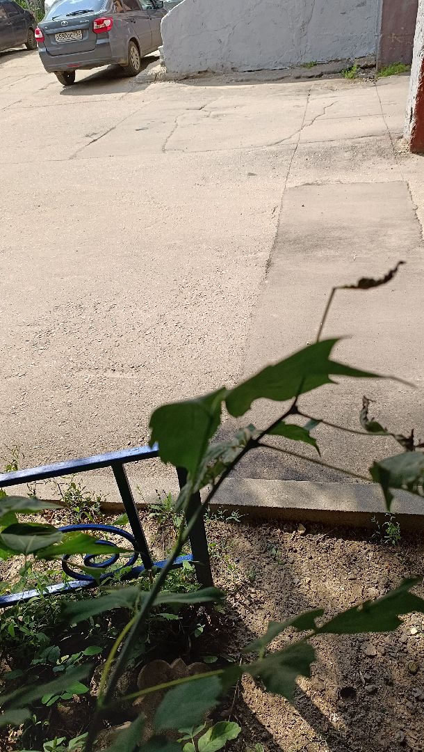 Лобня, дороги, ямы