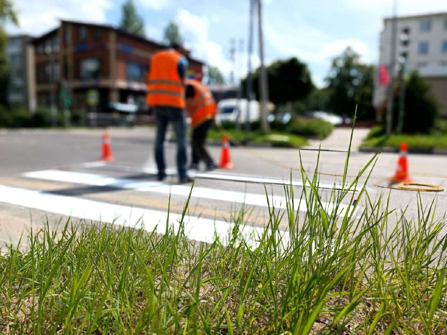 Можайск, Можайский городской округ, Подмосковье, разметка, пешеходные переходы, дорога, работы, социальные объекты