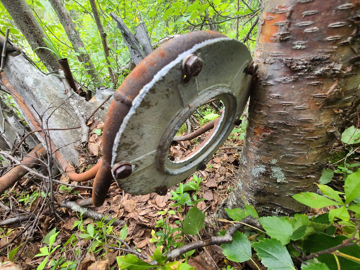 Долгопрудный, туризм, школы, дирижабль, отряд памяти