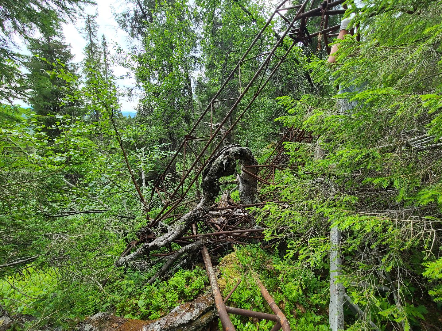 Долгопрудный, туризм, школы, дирижабль, отряд памяти
