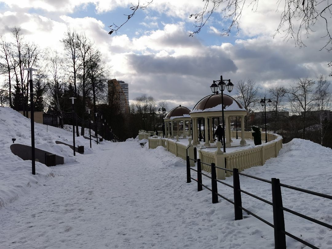 Подольск Общество