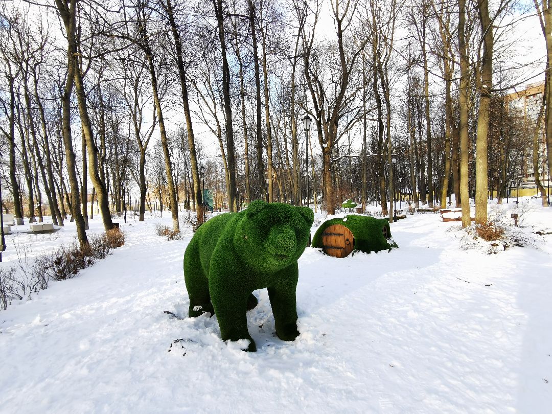 Подольск Общество
