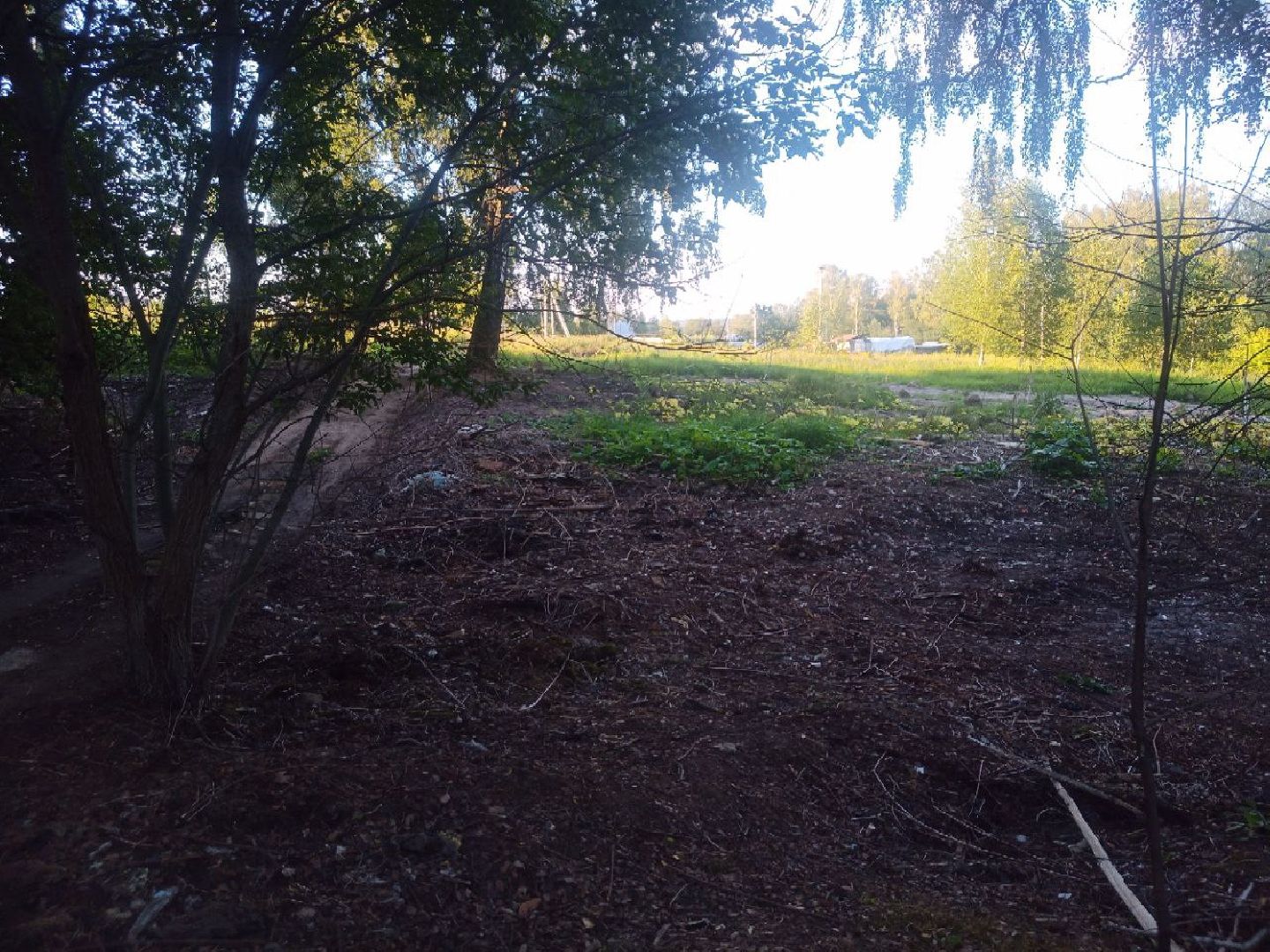 Пущино, экология, ликвидация свалок