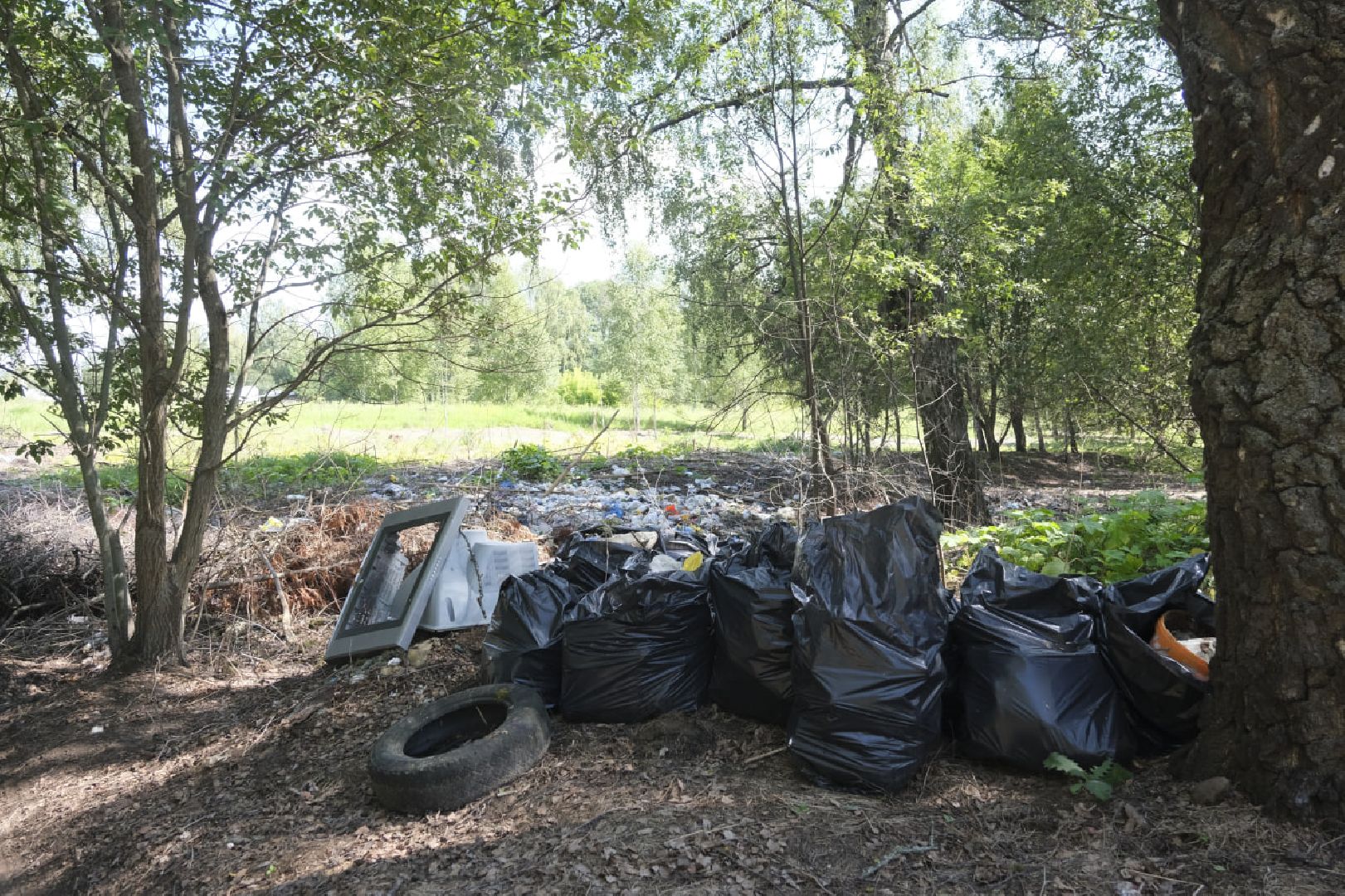 Пущино, экология, ликвидация свалок