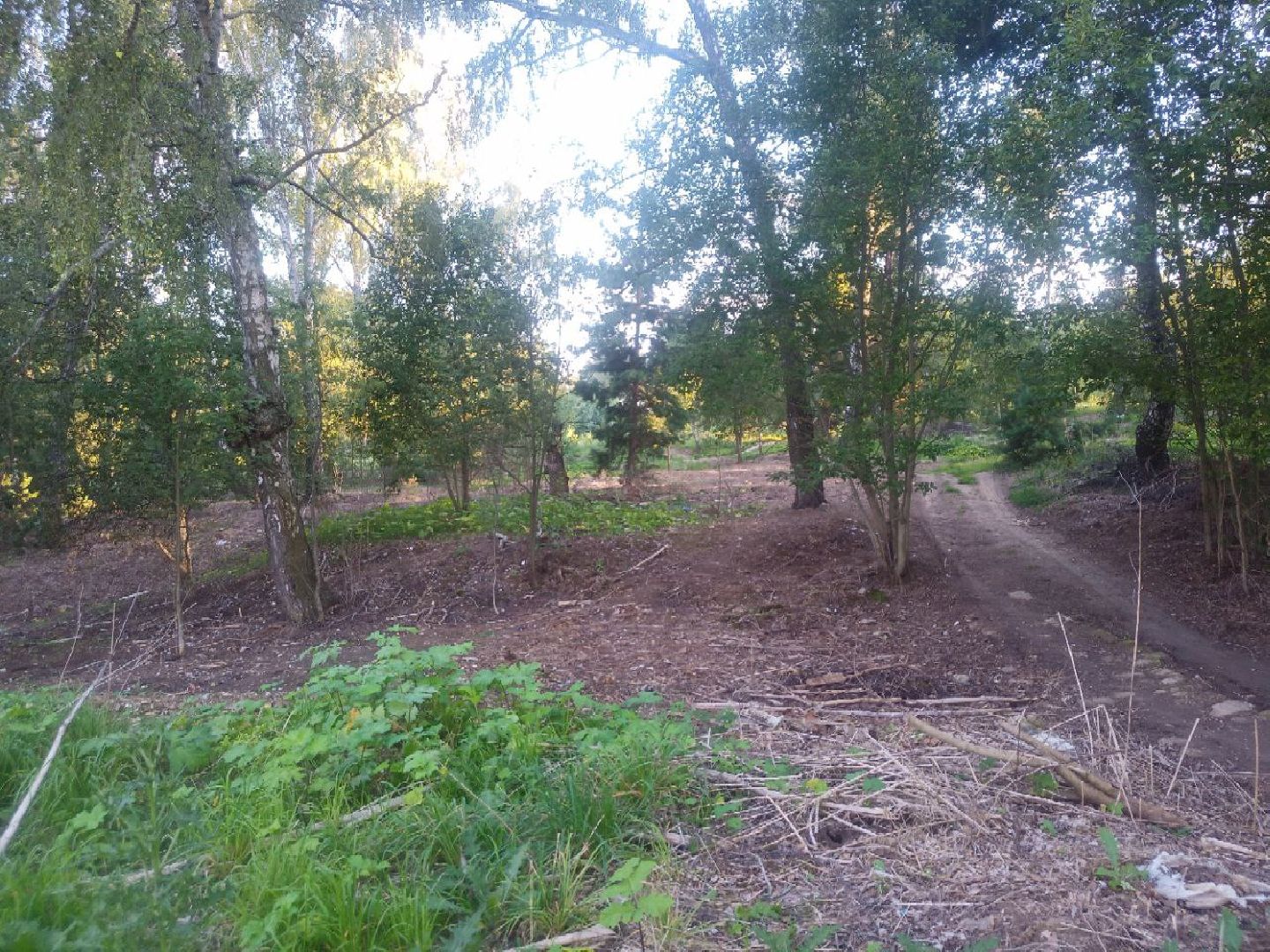 Пущино, экология, ликвидация свалок