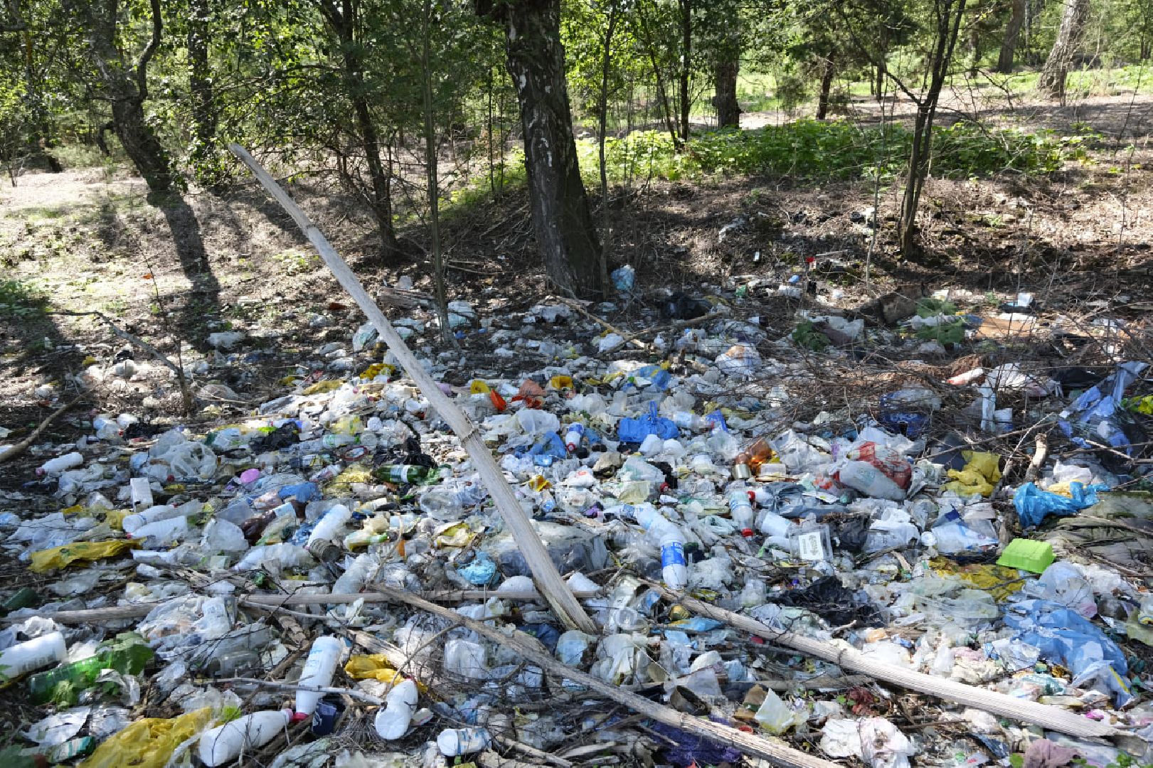 Пущино, экология, ликвидация свалок