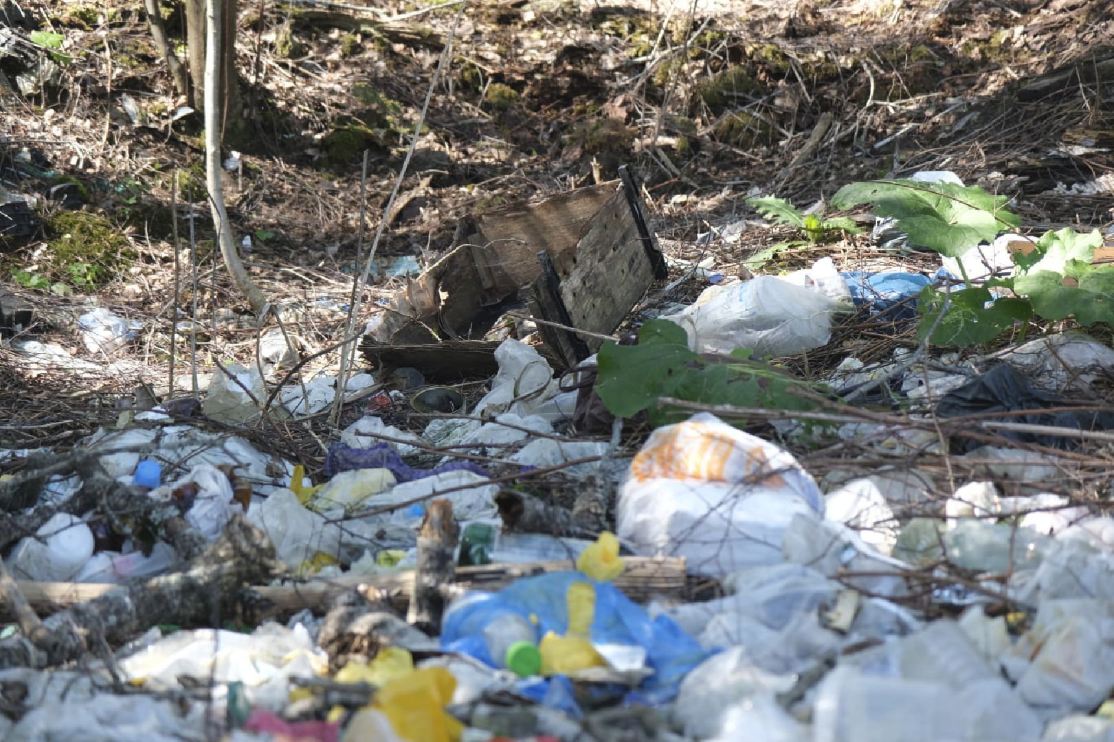 Пущино, экология, ликвидация свалок