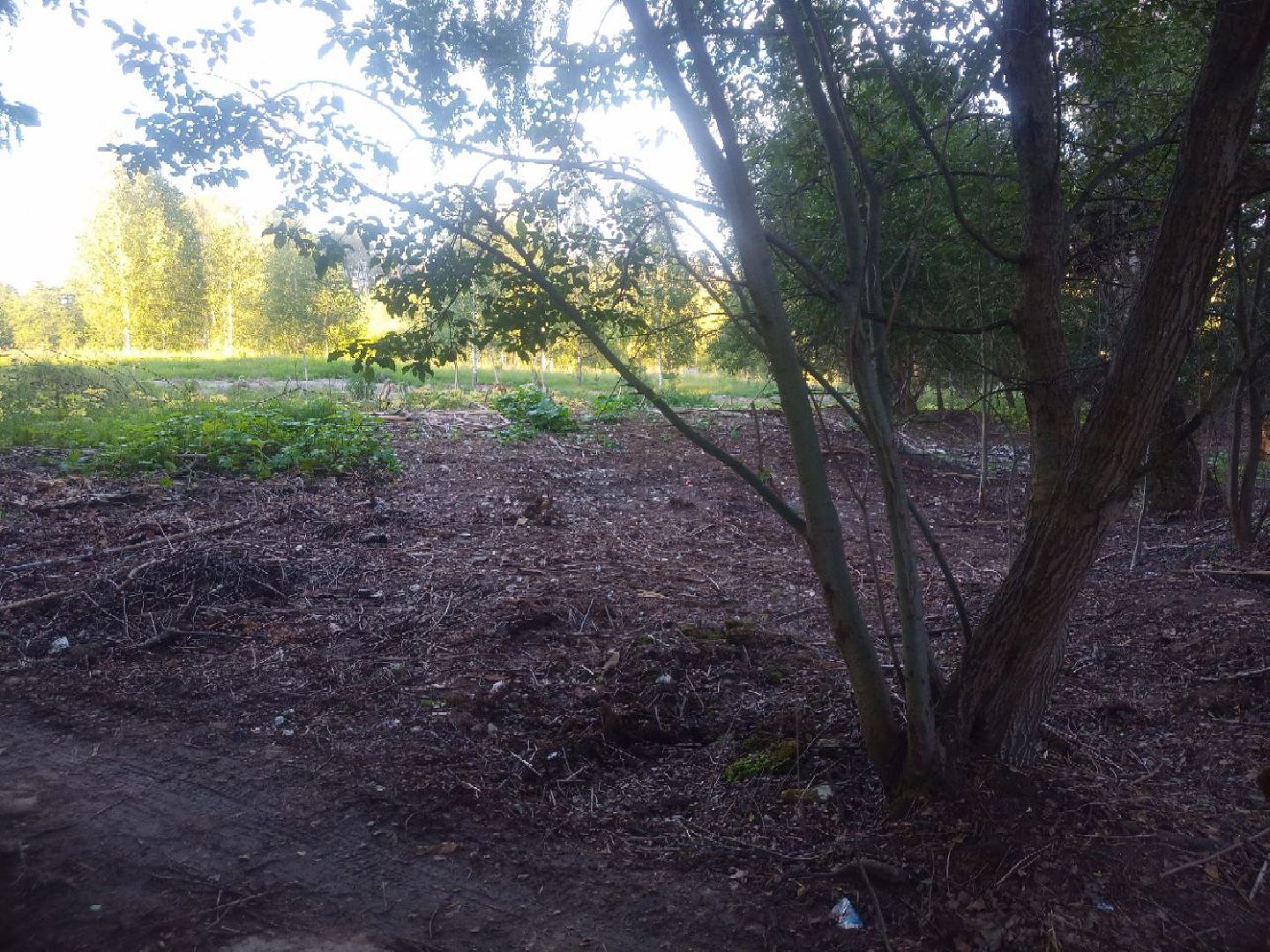 Пущино, экология, ликвидация свалок