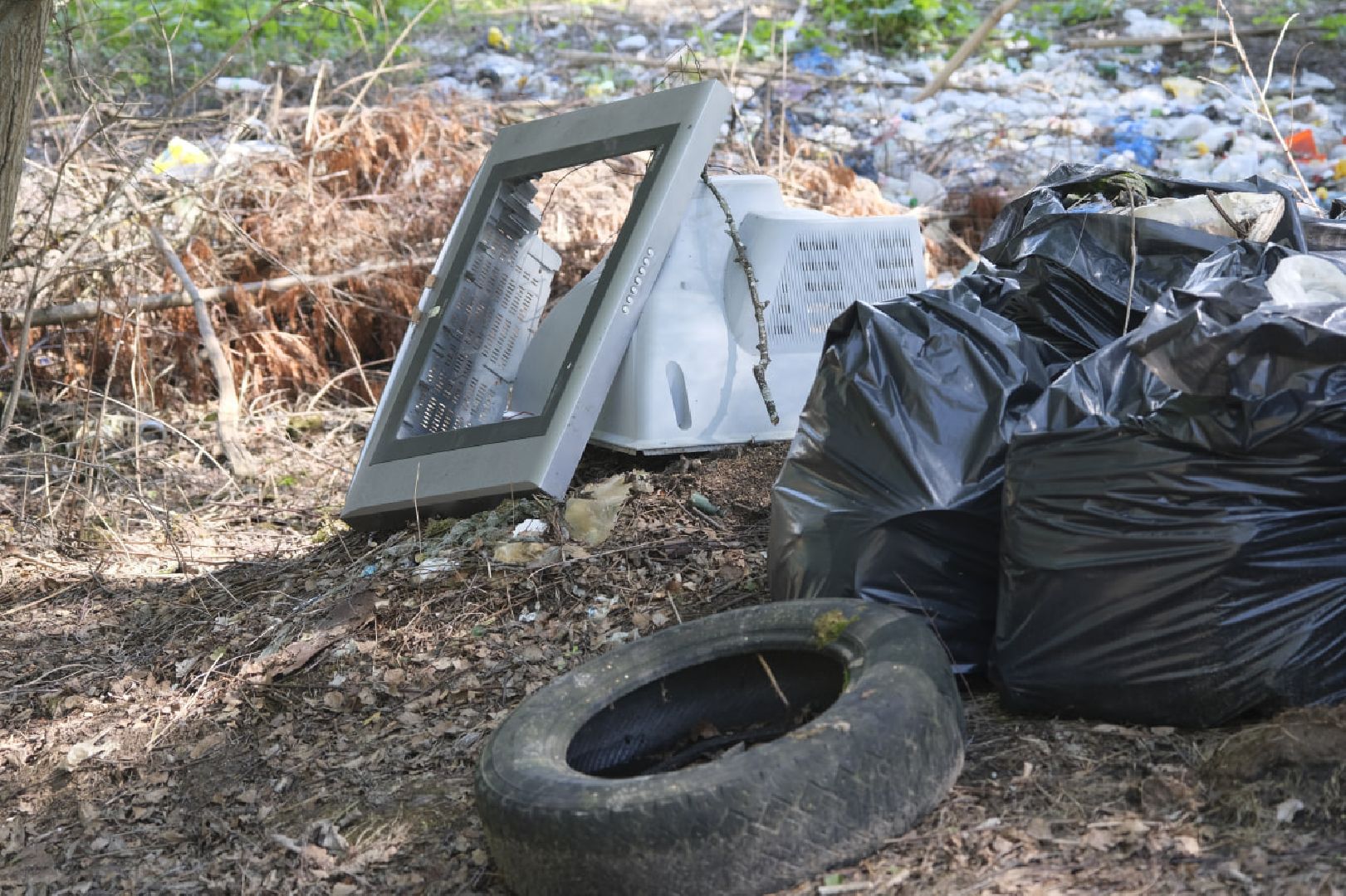 Пущино, экология, ликвидация свалок