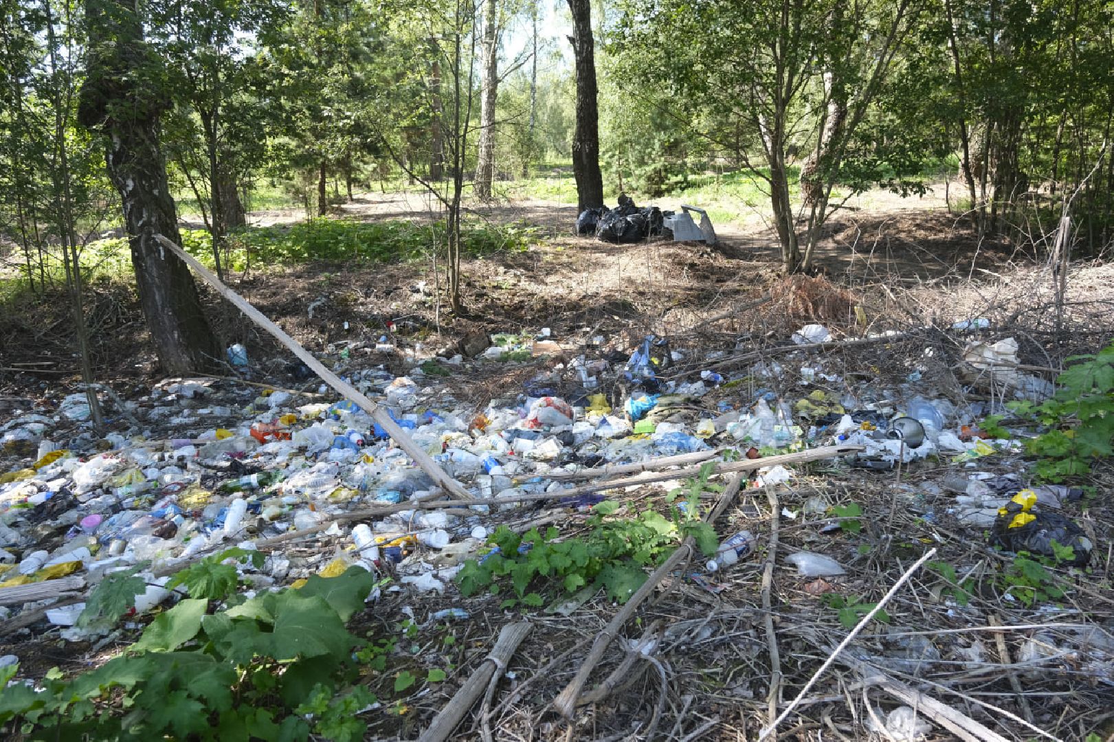 Пущино, экология, ликвидация свалок