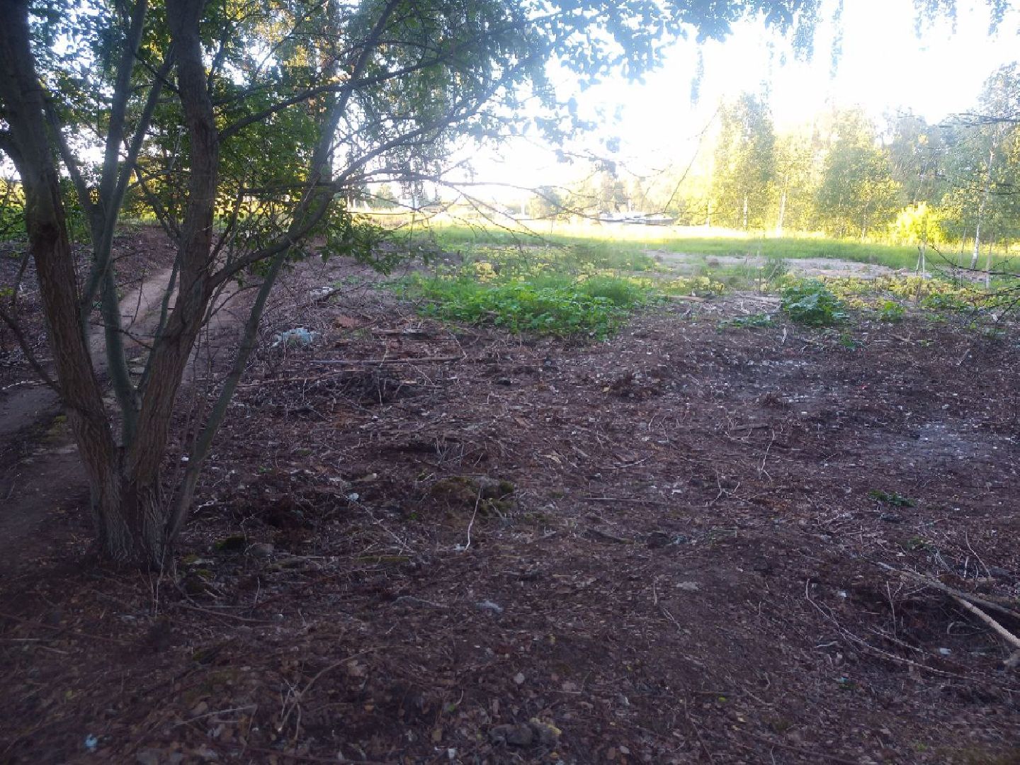 Пущино, экология, ликвидация свалок