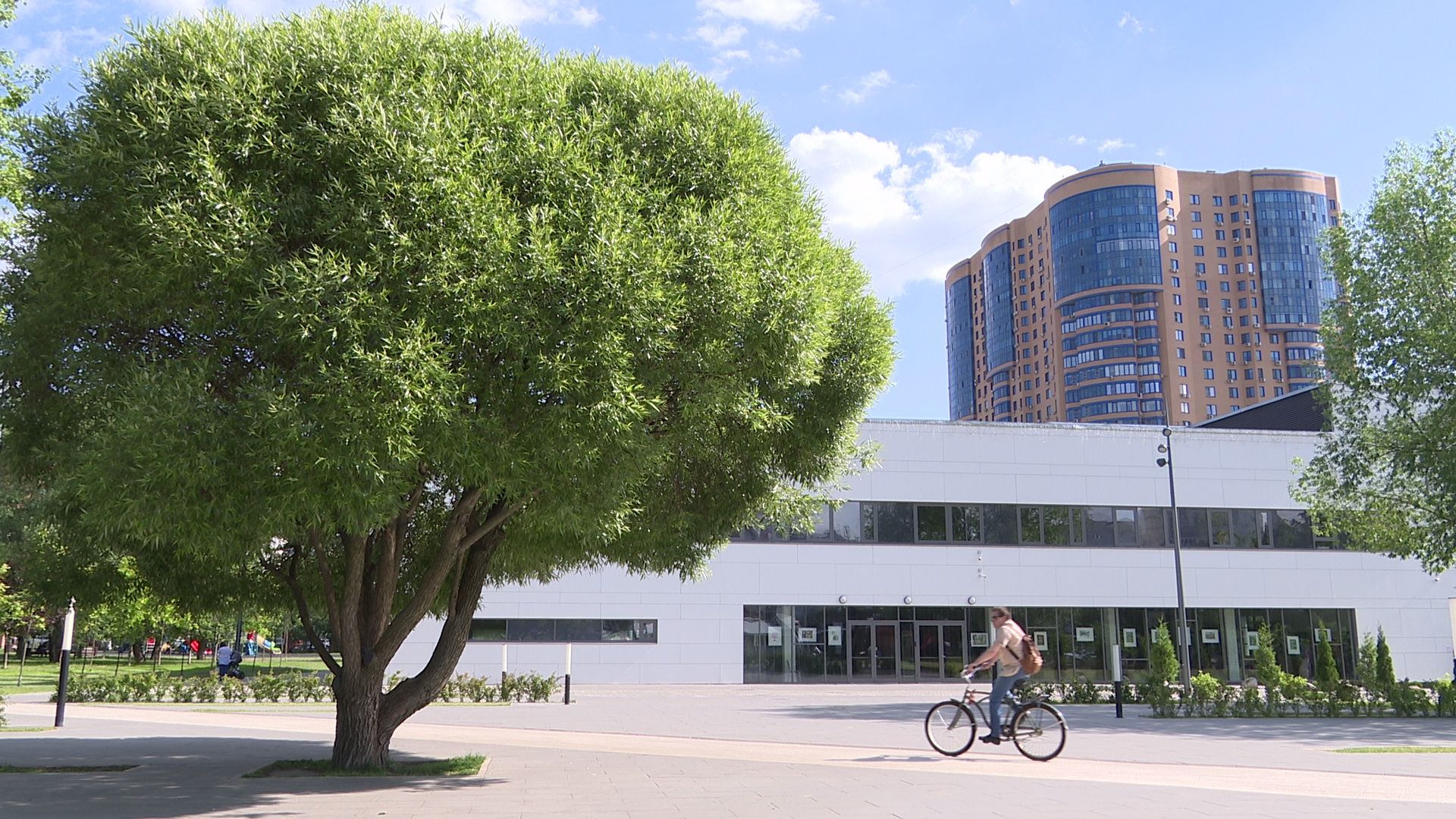 Реутов, лето, жара, врачи