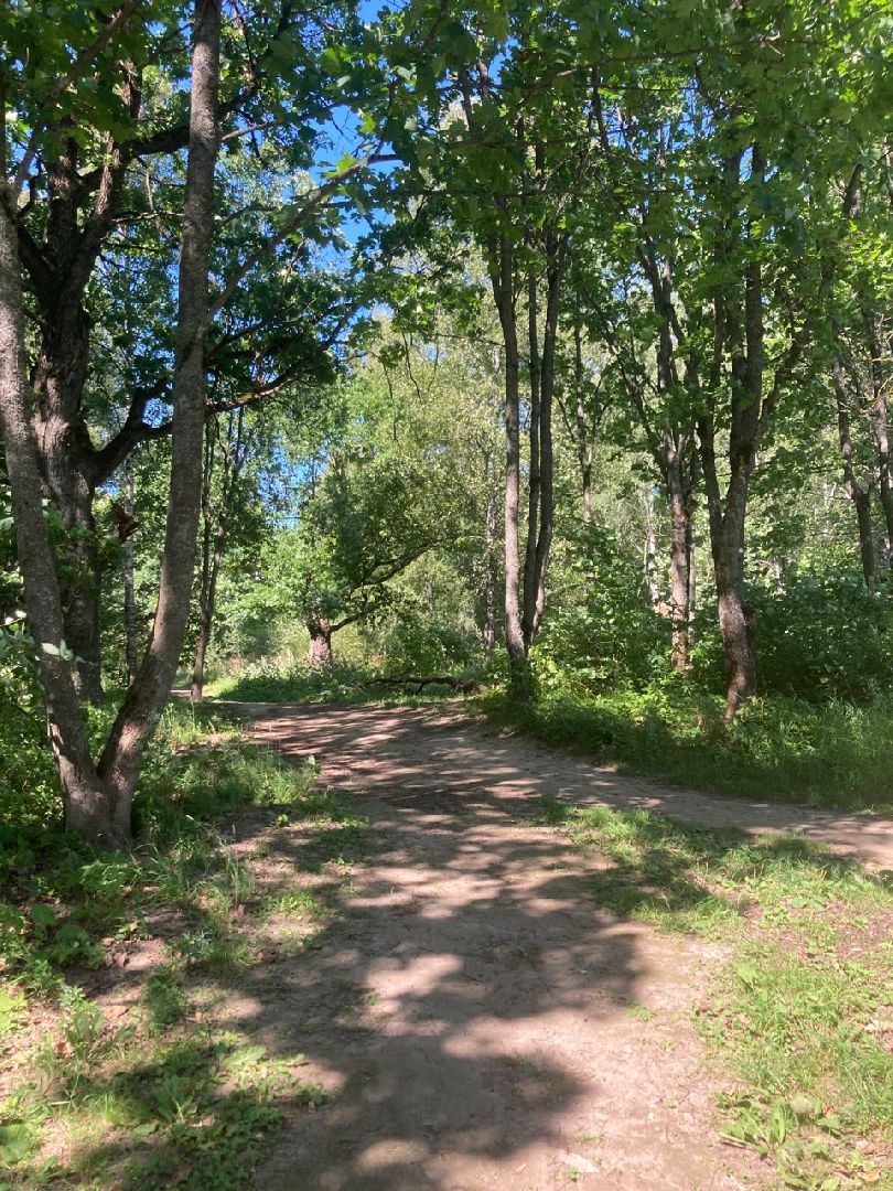 Солнечногорск, Рекинцо, парк, благоустройство, отдых