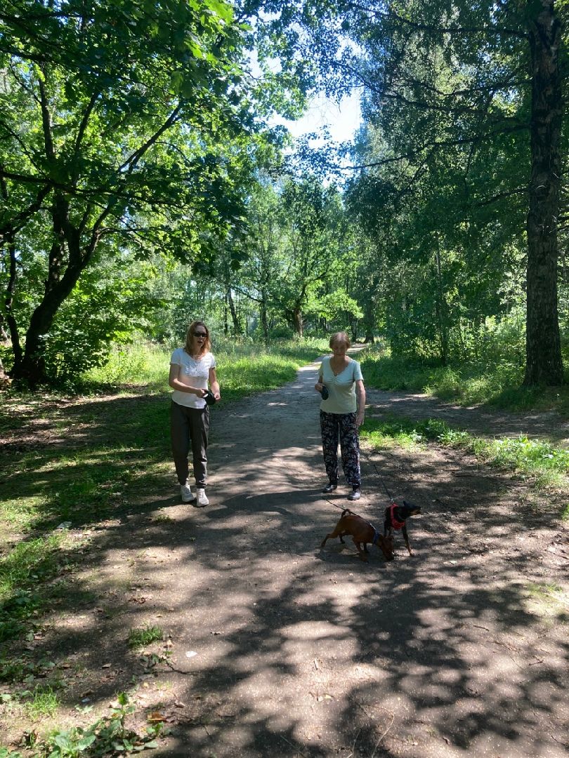 Солнечногорск, Рекинцо, парк, благоустройство, отдых