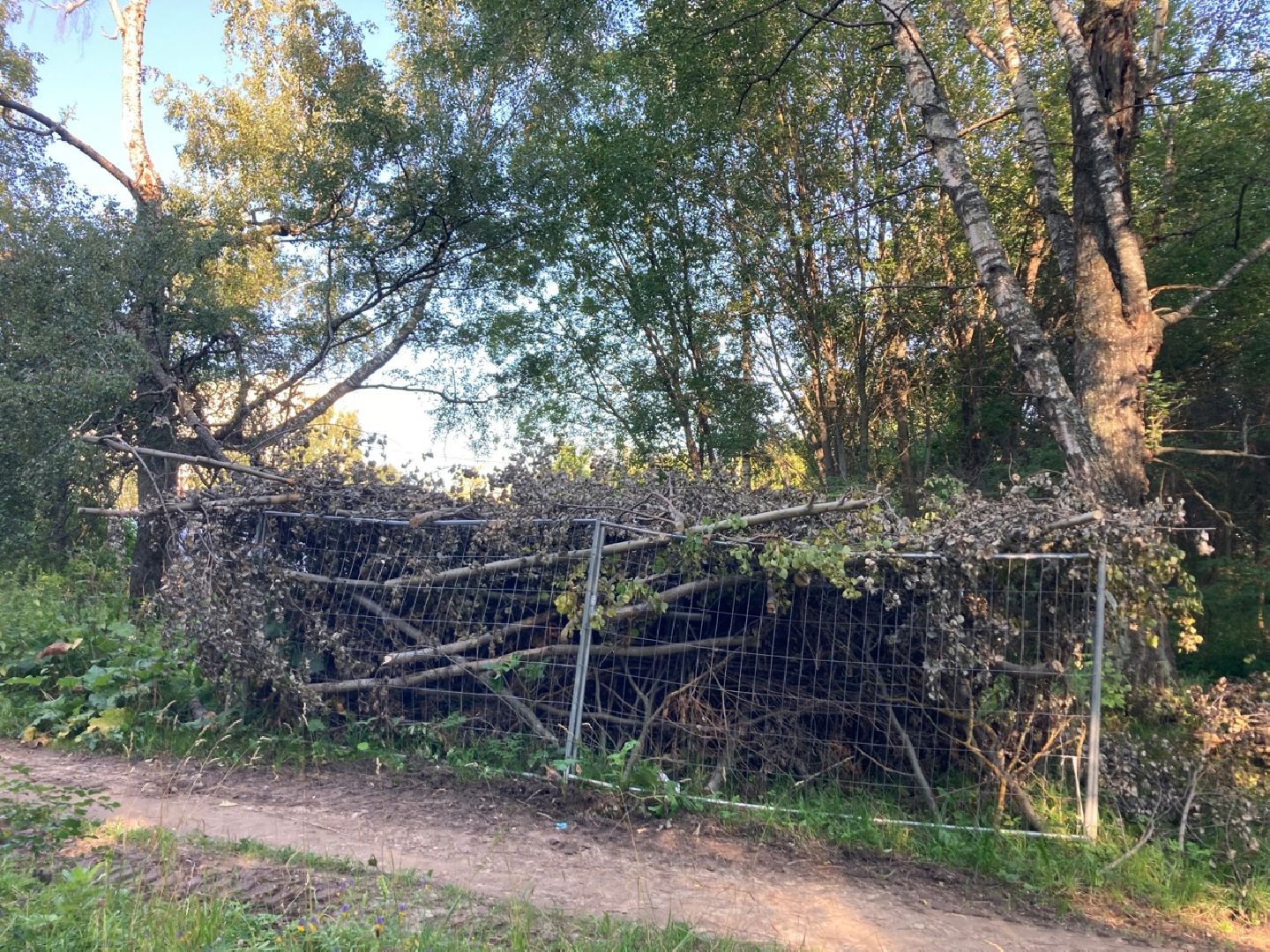 Солнечногорск, Тимоново, благоустройство, Сенеж, туризм