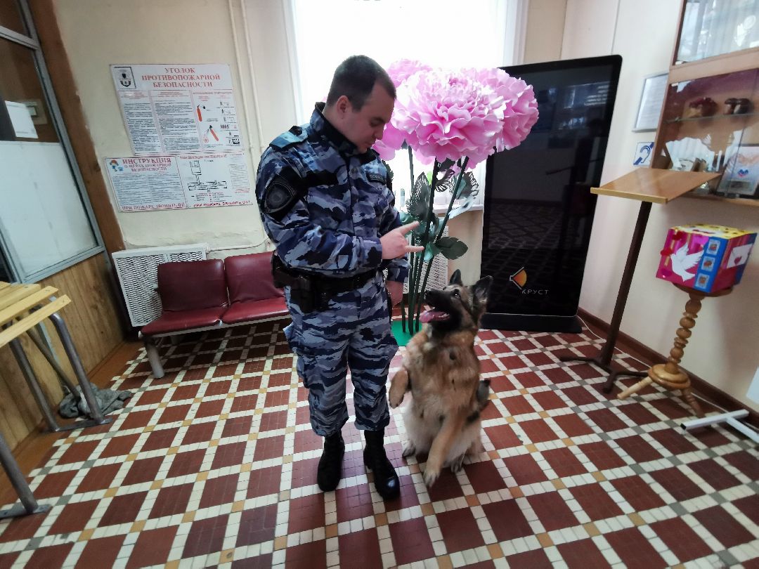 Подольск Общество