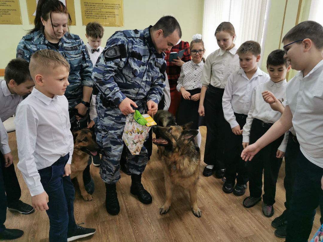 Подольск Общество
