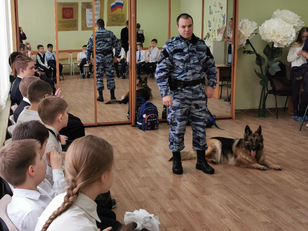 Подольск Общество