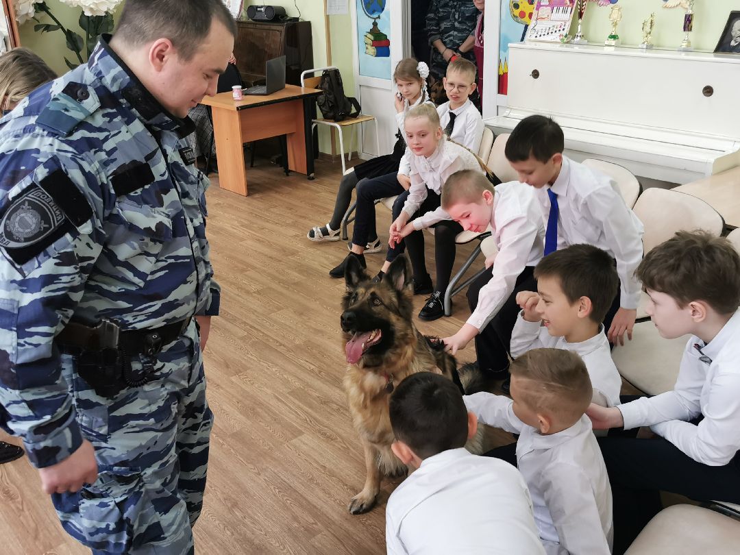 Подольск Общество