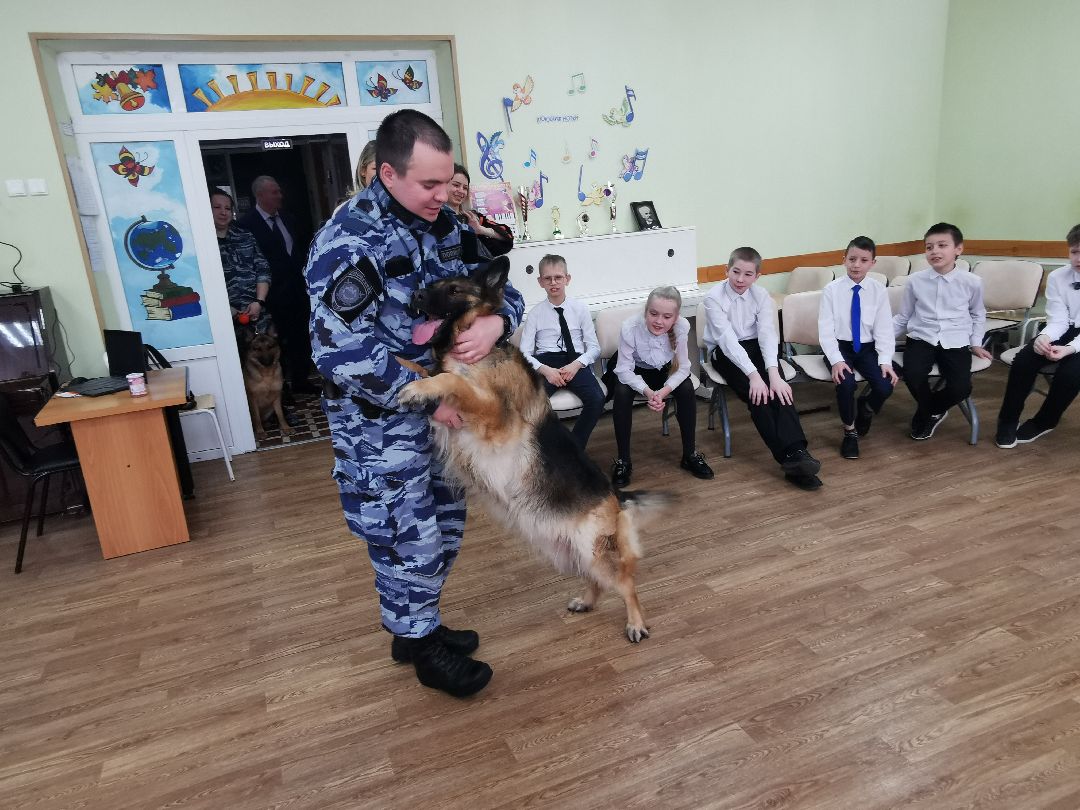 Подольск Общество