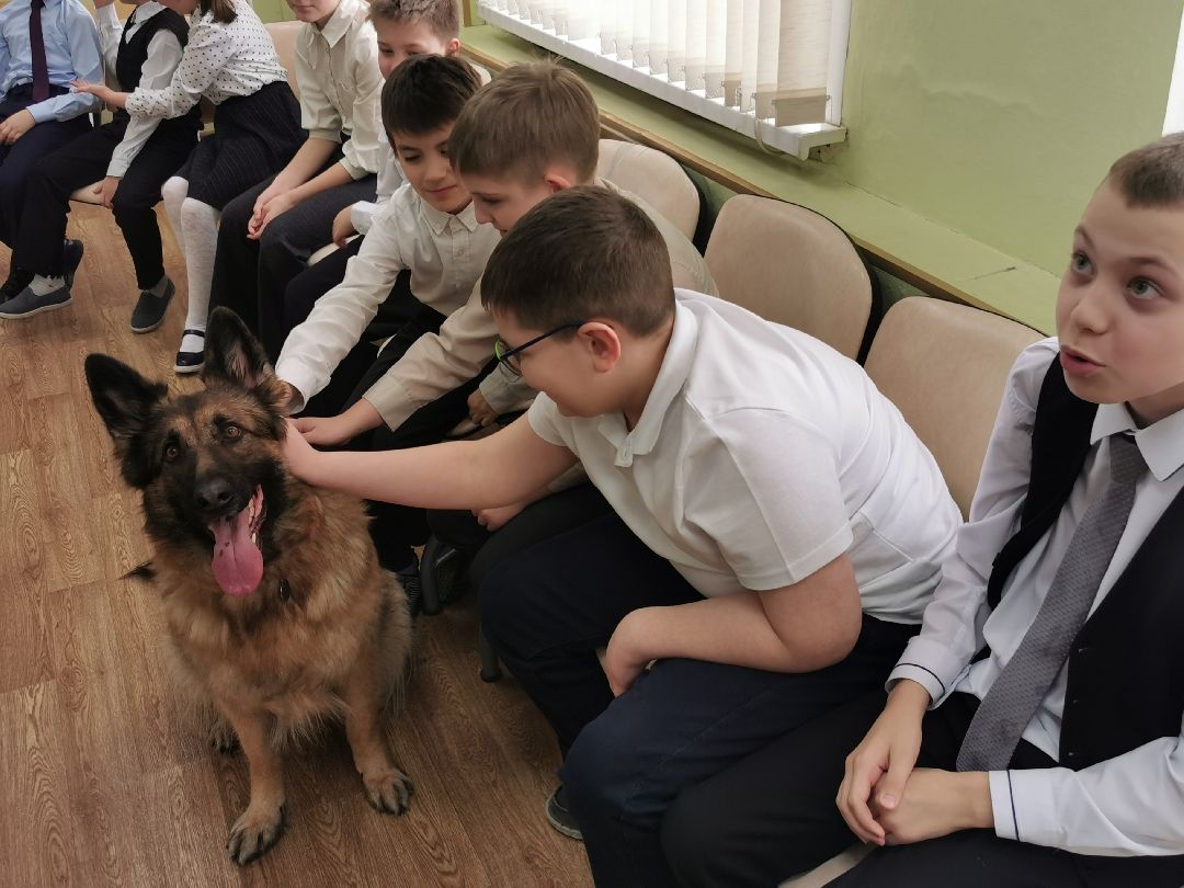 Подольск Общество