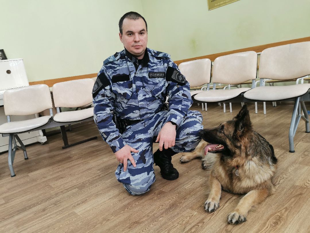 Подольск Общество