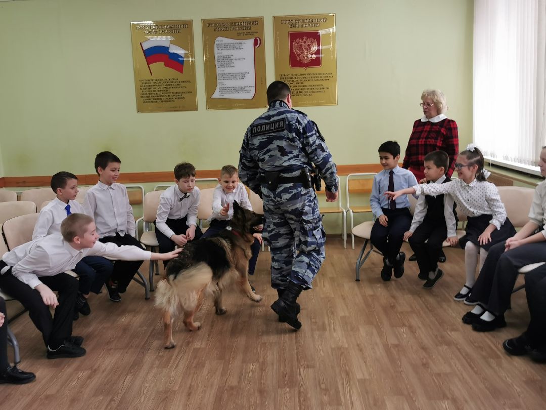 Подольск Общество