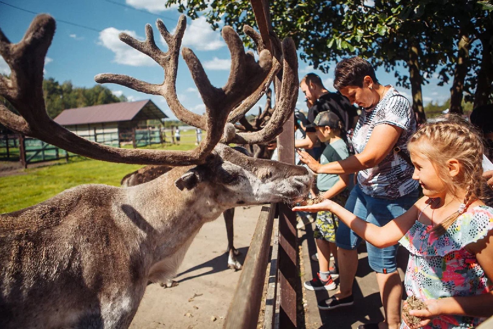 Общество, культура, праздник, День оленя, Орехово-Зуево