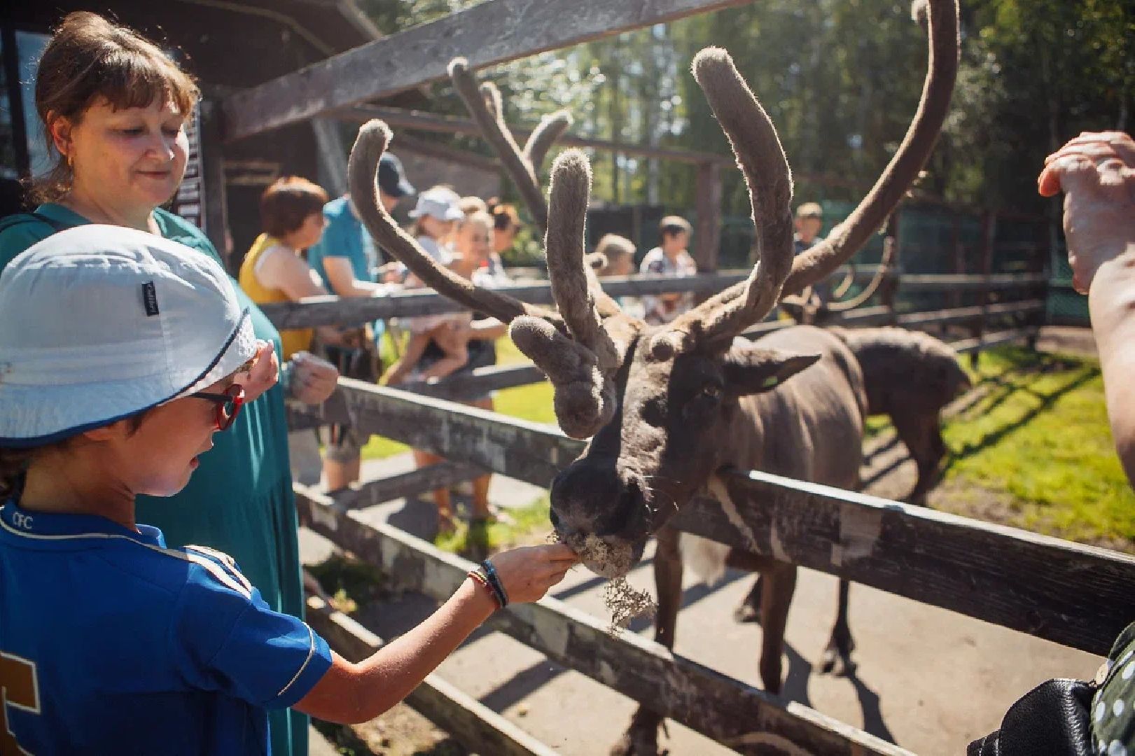 Общество, культура, праздник, День оленя, Орехово-Зуево