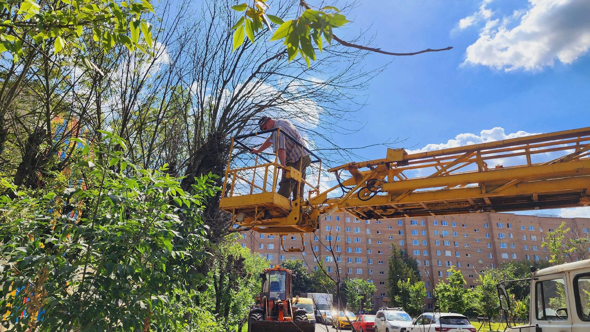 Подмосковье, Ивантеевка, благоустройство