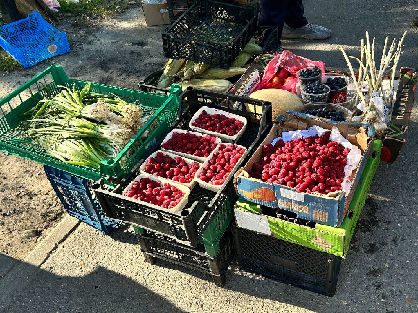 Подольск рейды