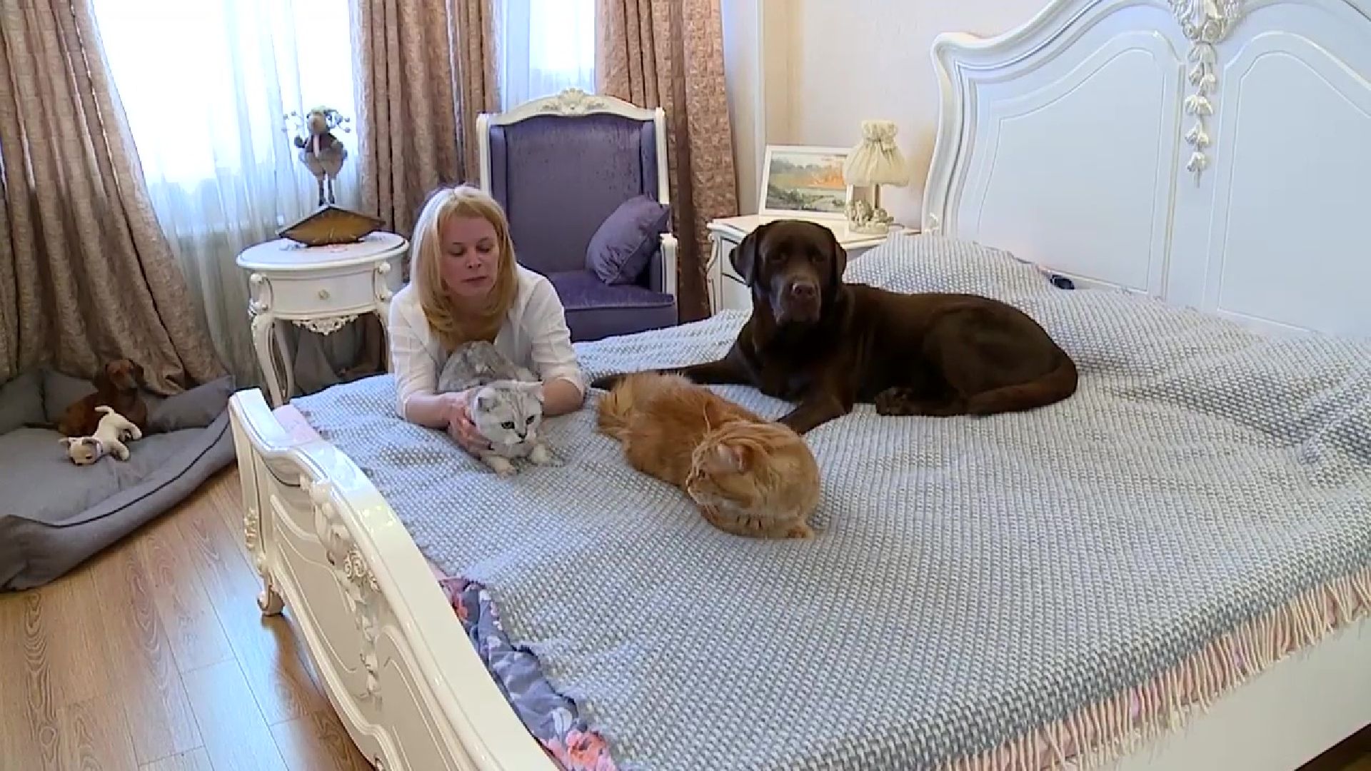 Реутов, День кошек, кошки, питомцы