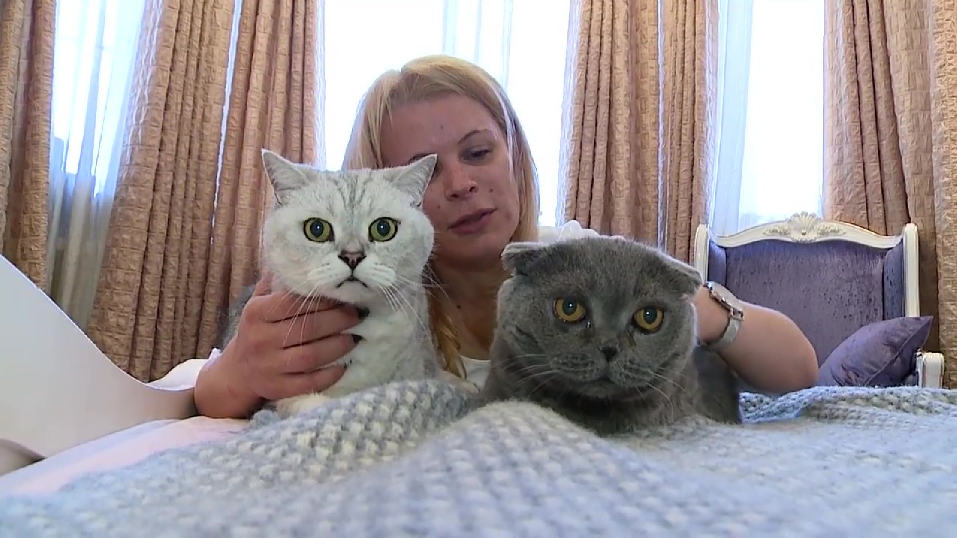 Реутов, День кошек, кошки, питомцы