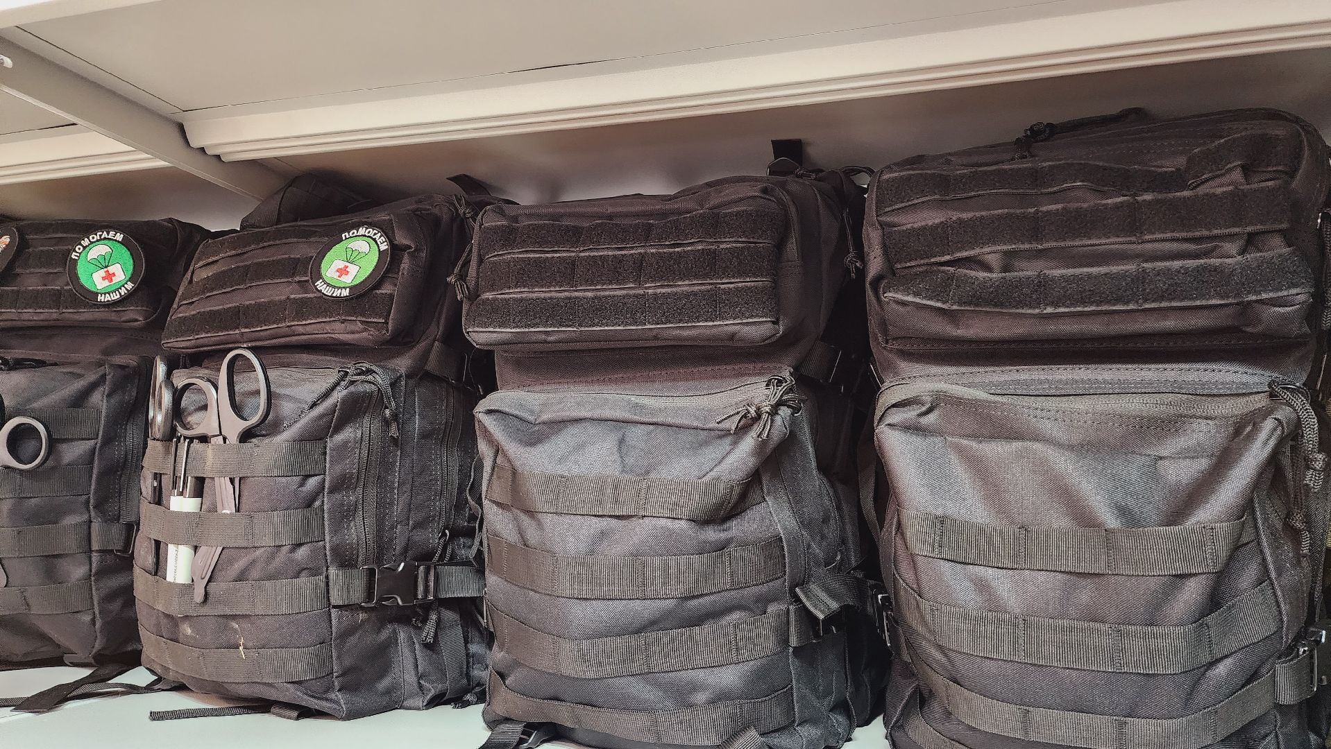 Подмосковье, Городской округ Пушкинский, Волонтеры, СВО