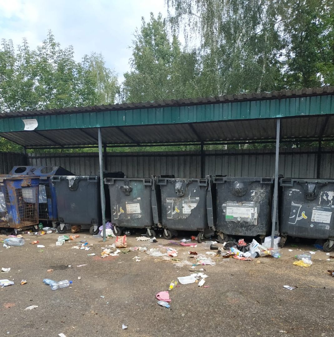 Красноармейск, Пушкинский, подбор мусора, обращения жителей