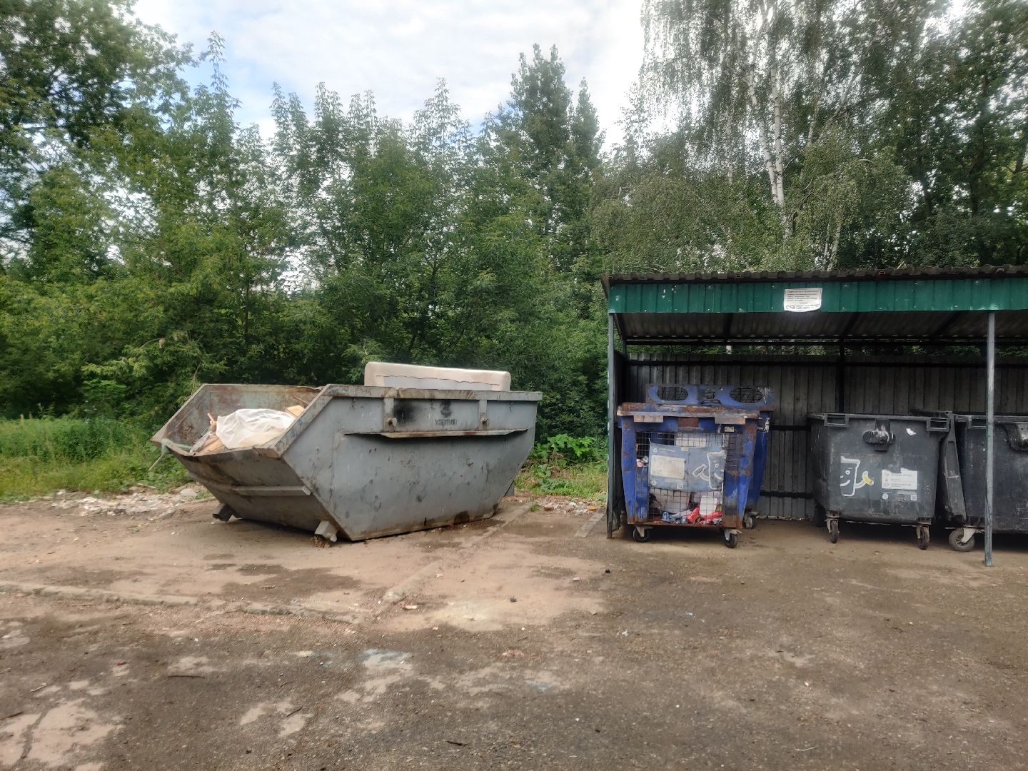 Красноармейск, Пушкинский, подбор мусора, обращения жителей