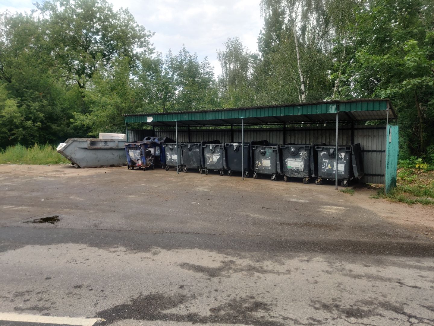 Красноармейск, Пушкинский, подбор мусора, обращения жителей