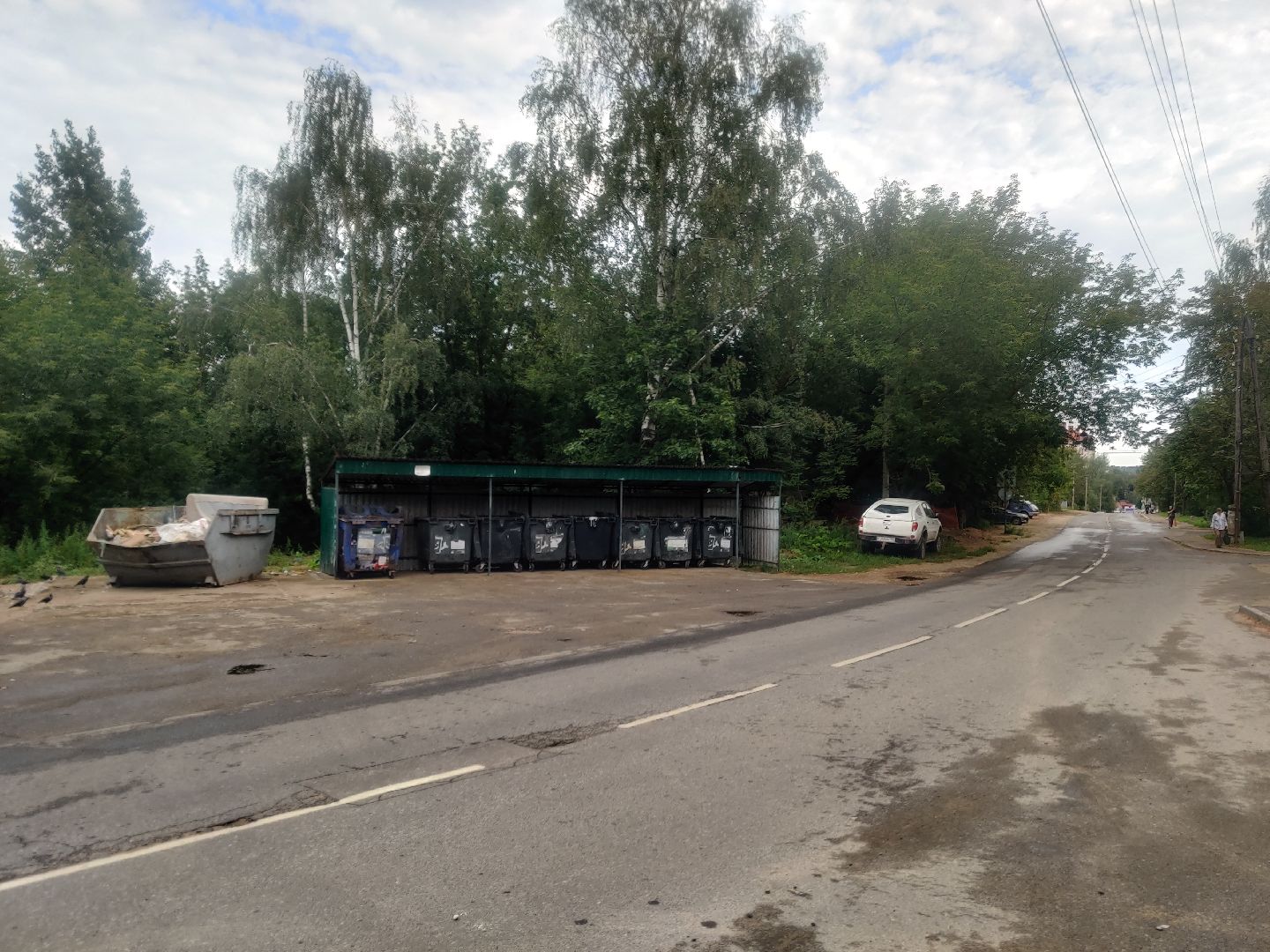 Красноармейск, Пушкинский, подбор мусора, обращения жителей