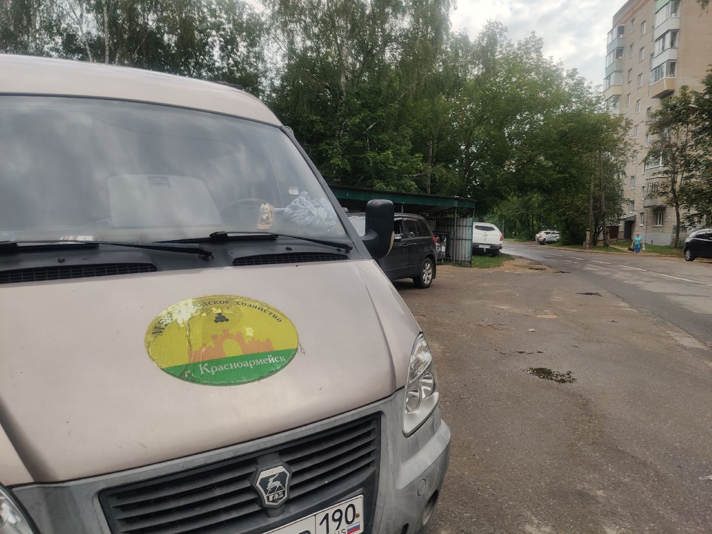 Красноармейск, Пушкинский, подбор мусора, обращения жителей