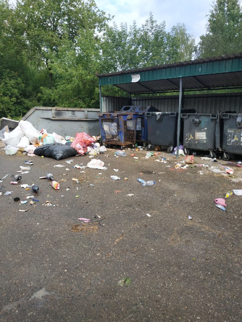 Красноармейск, Пушкинский, подбор мусора, обращения жителей