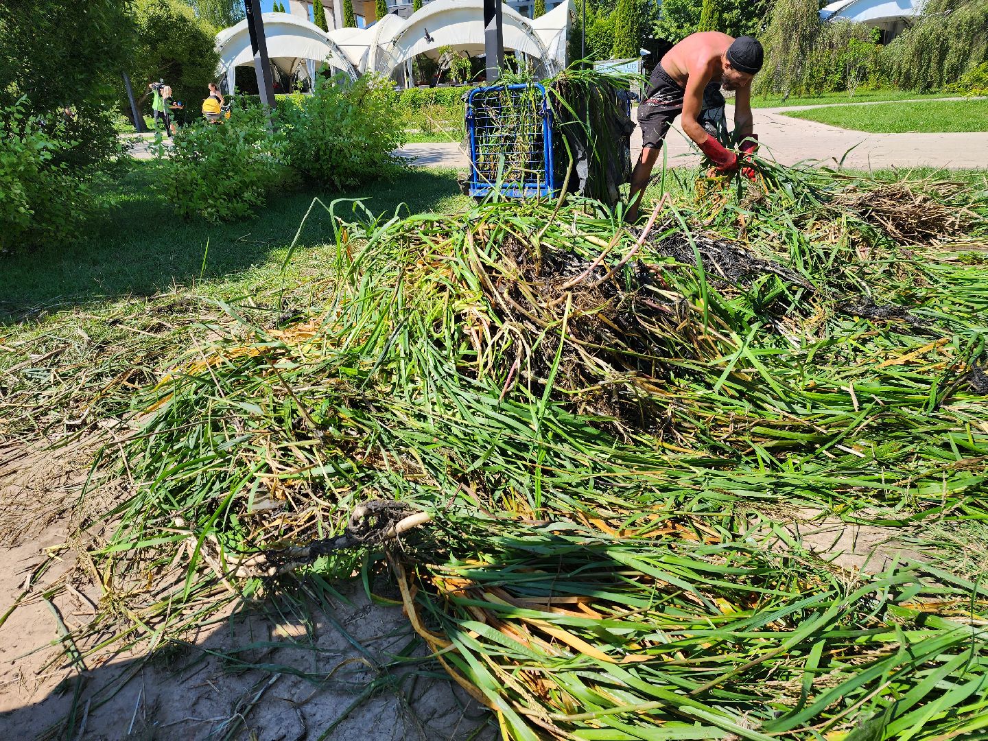 Очистка реки Яуза, Мытищи, Экология