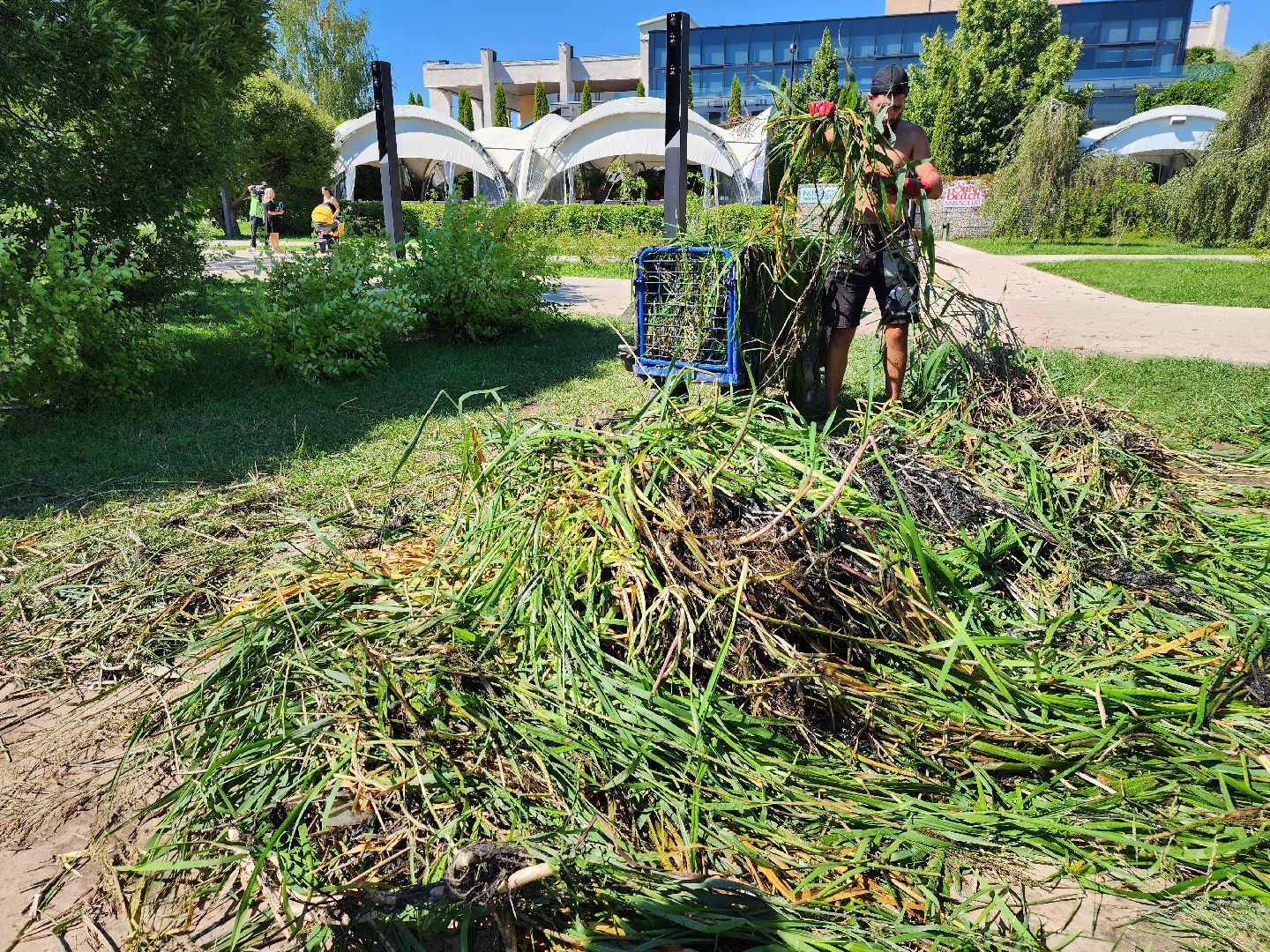 Очистка реки Яуза, Мытищи, Экология