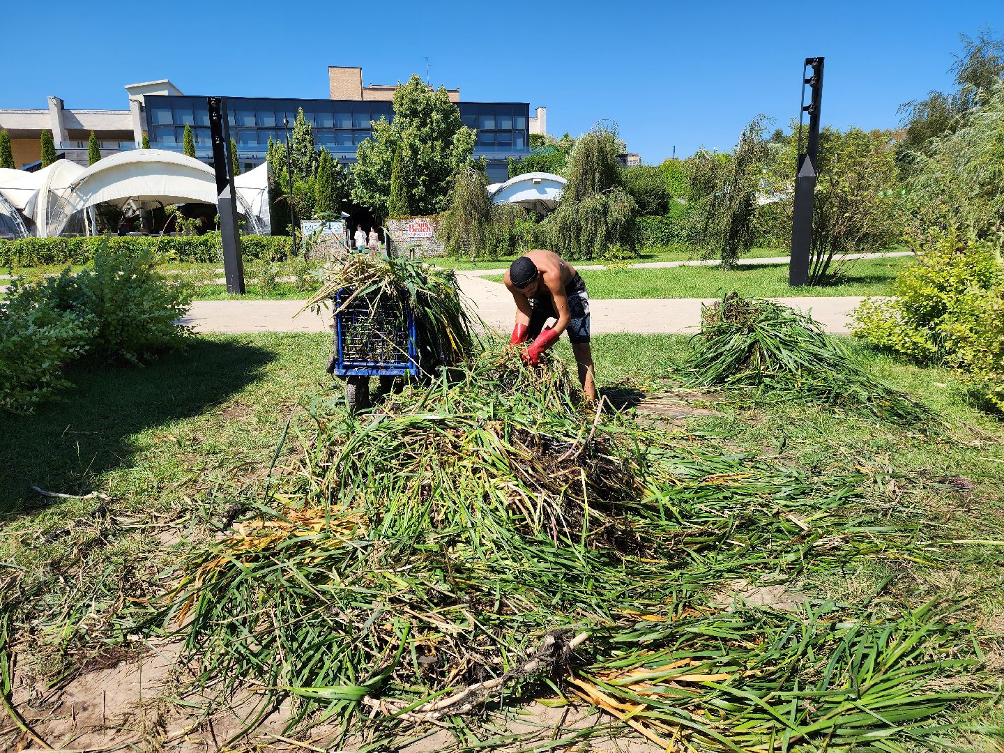 Очистка реки Яуза, Мытищи, Экология