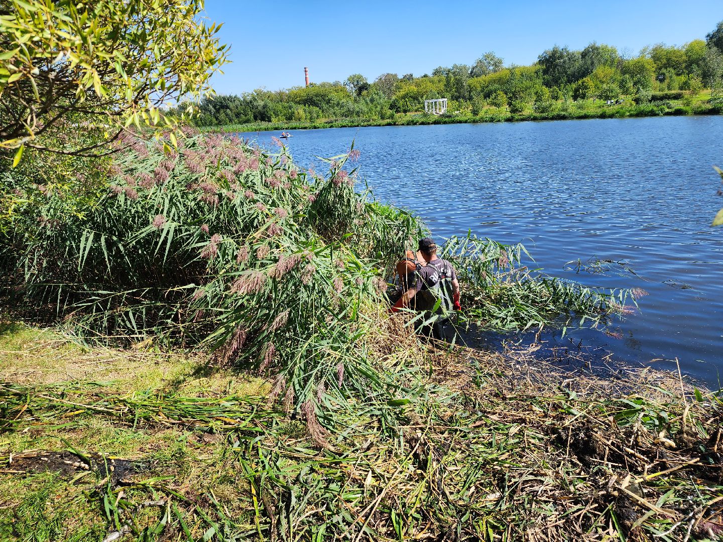 Очистка реки Яуза, Мытищи, Экология