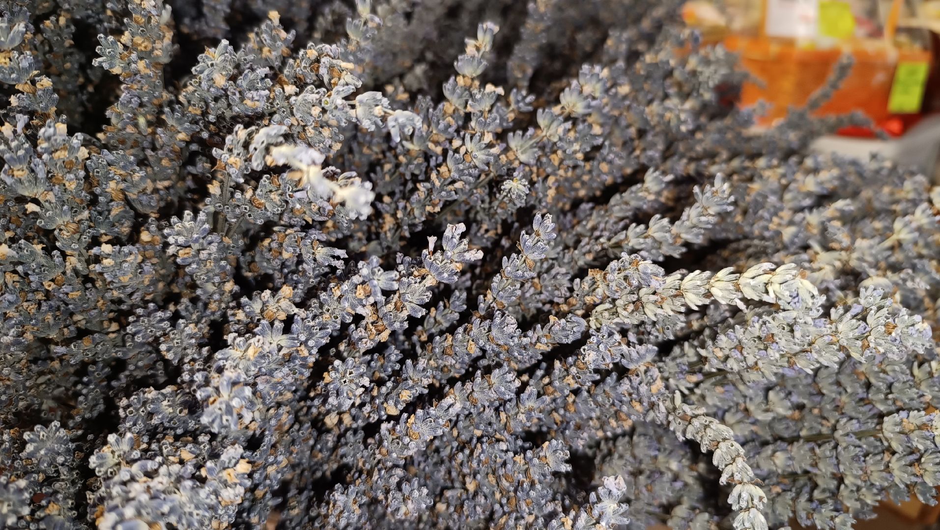 Лобня, экономика, чай