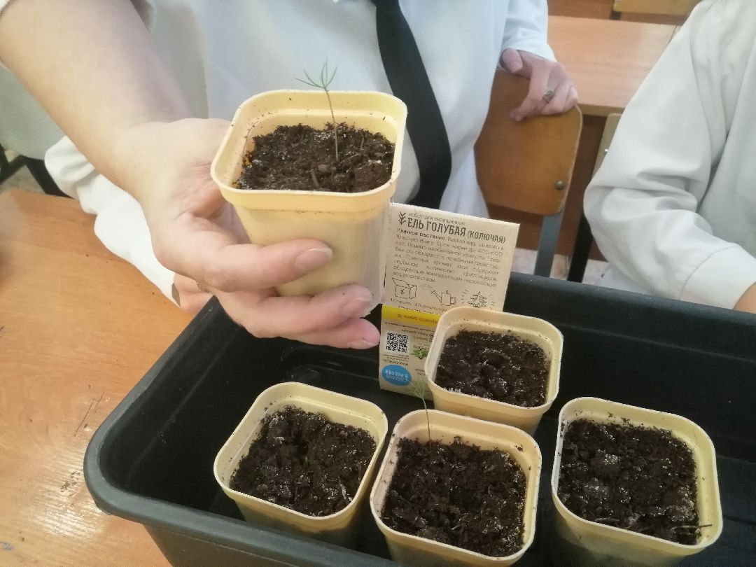 дети, юннаты, лесничество, Протвино