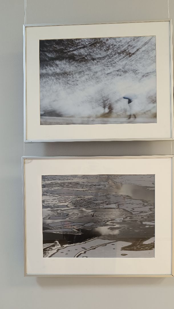 Лобня, фотография, выставка