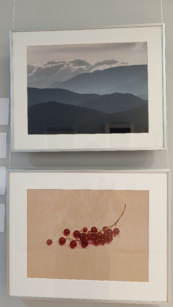 Лобня, фотография, выставка